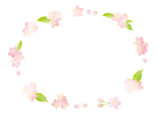 Fototapeta na wymiar 葉桜の水彩フレーム（長円）