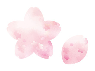 Fototapeta premium ピンクの桜ラベルフレーム（さくら）