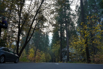 カリフォルニア州　ヨセミテ国立公園　ドライブ　夜明け