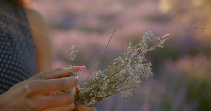 Young black woman holding lavender standing in field