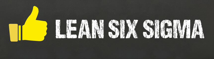 Lean Six Sigma	