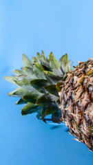 Pineapple on a blue background. close-up view