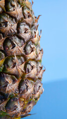 Pineapple on a blue background. close-up view