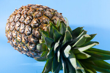 Pineapple on a blue background. close-up view