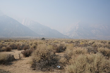 Fototapeta premium カリフォルニア州 シエラネバダ山脈 ホイットニー山 風景