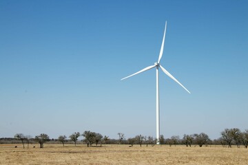 wind turbine in the field