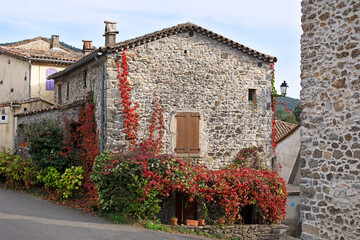 Ruelle aux maisons de pierres couvertes de vigne vierge dans un village traditionnel du Sud de la France. Mialet, Cévennes © fred.do.photo