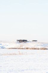 Frosty snow-white morning in the village is located in a corner of Russia