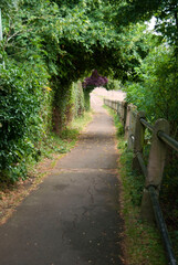 Path with green bushes on a cloudy day in Grantham.