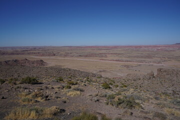 アリゾナ州　化石の森国立公園　ロードトリップ