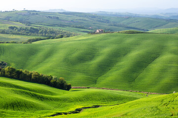 Fototapeta na wymiar Orcia Valle, green rolling landscape in Tuscany, Italy