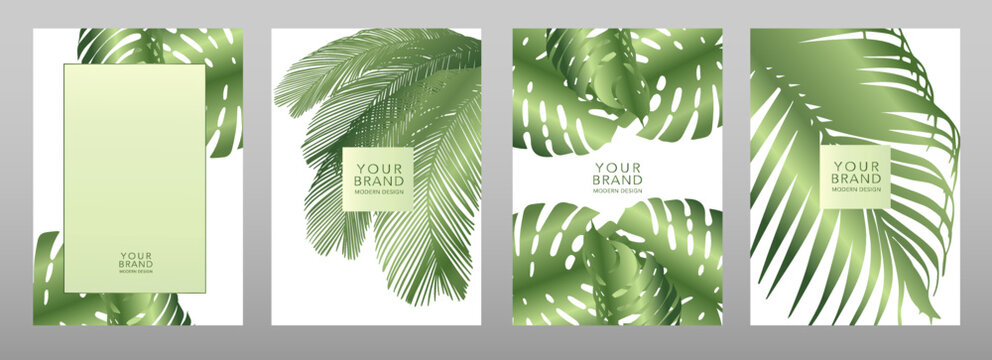 Tropical cover design set with green leaves on a white background, palm tree pattern. Exotic floral vector template for brochure, menu, summer sale, eco poster, travel booklet, catalog, invite.