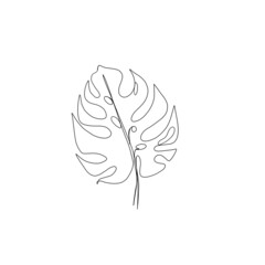 exotic leaf monstera line art. Minimalistic line drawing. leaf line art. Botanical drawing illustration by hand.