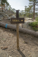 A hiking trail sign