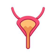 bladder flat icon