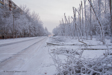  The north winter landscape