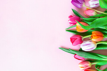 Colorful tulips flower composition over white wooden table background with copy space. Love, Mother's day, Women's day and spring time flower background. Spring nature background.