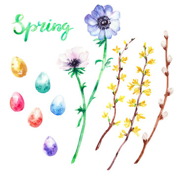 Hand drawn watercolor easter set with eggs, anemone flowers, branches