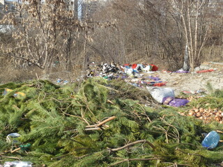 Landfill for various garbage. Between the trees are paper, plastic, nets, vegetables and cut pines.