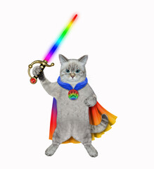 An ashen cat in a color cloak holds a light sword. White background. Isolated.