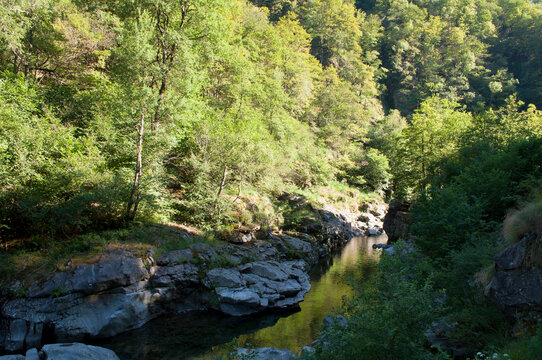 Sessera River in the Woods. Italian Alps