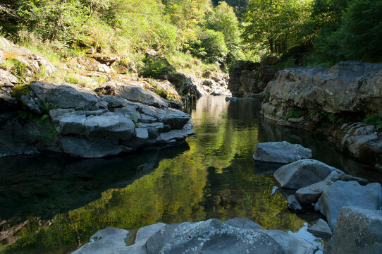 Reflection in the Water. Sessera River, Italian Alps