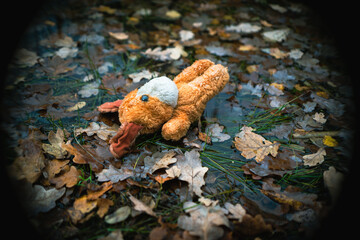 Lost toy. Dog, soft toy fell into cold water. Concept child or animal care, misfortune, lost, trouble, sorrow or distress.