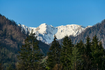 Scenic view of snow capped mountain peaks of Karawanks on the way to Sinacher Gupf in Carinthia, Austria. Mount Wertatscha is visible through dense forest in early spring. Rosental on a sunny day.Hike