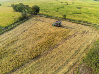 Obraz premium Harvester working in the field. Combine harvester farming machine harvesting golden ripe wheat agriculture aerial view from above.