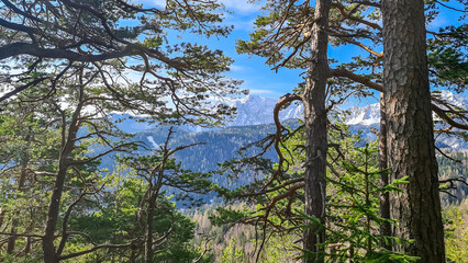 Scenic view of snow capped mountain peaks of Karawanks on the way to Sinacher Gupf in Carinthia, Austria. Mount Wertatscha is visible through dense forest in early spring. Rosental on a sunny day.Hike