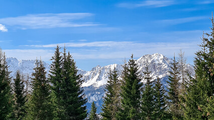 Scenic view of snow capped mountain peaks of Karawanks from Sinacher Gupf in Carinthia, Austria. Mount Hochstuhl (Stol) is visible through dense forest in early spring. Rosental on sunny day. Freedom