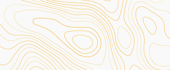 Luxury gold abstract line art background vector. illustration of topographic line contour map, Abstract stylized topographic contour elevation in lines and contours,