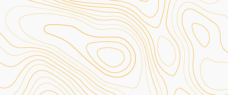 Luxury gold abstract line art background vector. illustration of topographic line contour map, Abstract stylized topographic contour elevation in lines and contours,