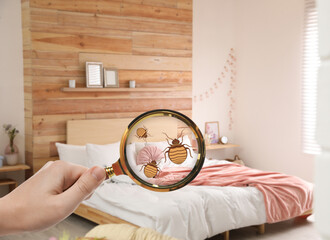 Woman with magnifying glass detecting bed bugs in bedroom, closeup