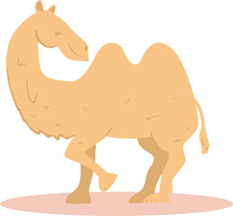design vectror  illustration of camel