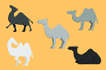 design ilustration camel 