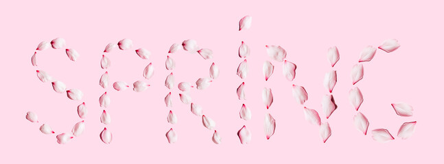 Word SPRING made of cherry petals on pink background