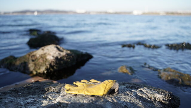 Plastic Gloves Thrown on the Rocks by the Sea