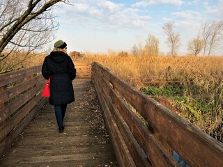 person walking on a bridge