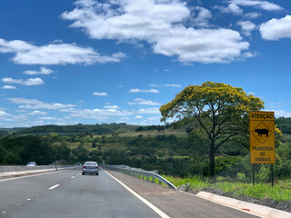 Sign on the road written in Portuguese: 