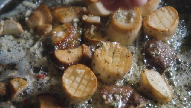 Vegetarian scallops from King trumpet, oyster mushrooms also known as eryngii.