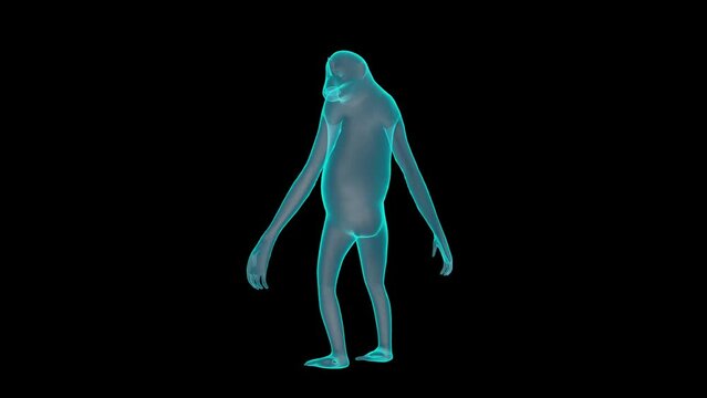 A Chimpanzee Holograph turntable render