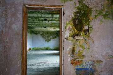 Abandoned building with wall full of mold