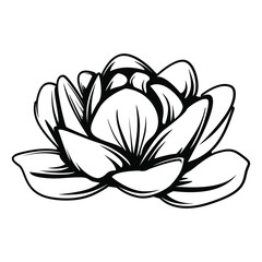 Asian peony. Asian lotus element vector. Eastern culture symbol.