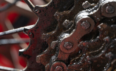 Detail of wheel and sprockets of a mountain bike