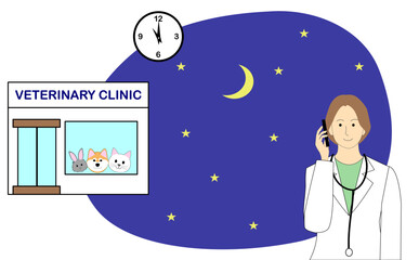 Night scene of veterinarian clinic with a tabby cat in an Elizabethan collar, toy poodle and 
