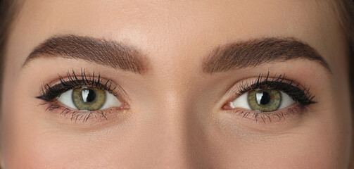 Beautiful woman with perfect eyebrows, closeup. Permanent makeup