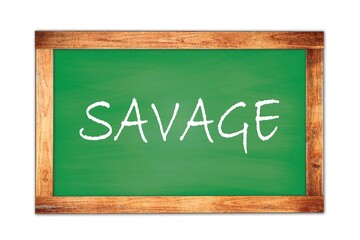 SAVAGE text written on green school board.
