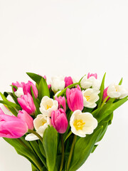 Bouquet of white and pink spring tulips flowers for present.