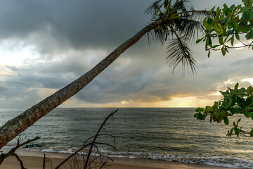 Lindo Nascer do Sol na orla de Porto Seguro, em praia com areias escuras, céu com muitas nuvens e tronco de coqueiro para enfeitar.